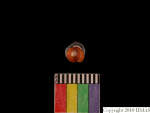 L_V22d6759 J3q119.1 Tx05 dM sh f71.JPG